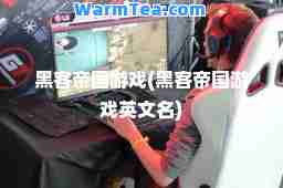 黑客帝国游戏(黑客帝国游戏英文名)