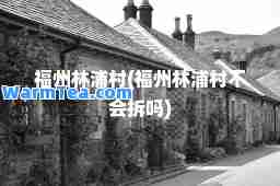 福州林浦村(福州林浦村不会拆吗)