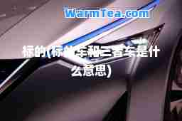 标的(标的车和三者车是什么意思)