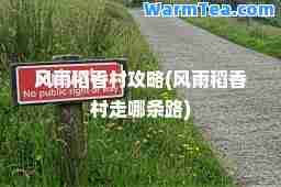 风雨稻香村攻略(风雨稻香村走哪条路)