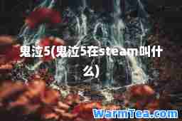 鬼泣5(鬼泣5在steam叫什么)