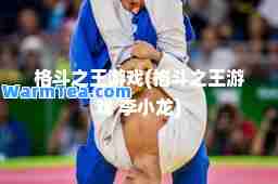 格斗之王游戏(格斗之王游戏 李小龙)