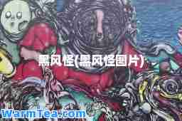 黑风怪(黑风怪图片)