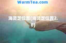 海灵芝位置(海灵芝位置2.0)