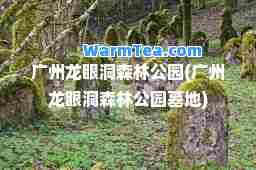 广州龙眼洞森林公园(广州龙眼洞森林公园墓地)