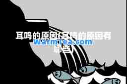 耳鸣的原因(耳鸣的原因有哪些)