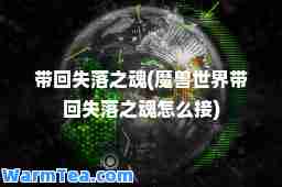 带回失落之魂(魔兽世界带回失落之魂怎么接)
