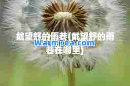 戴望舒的雨巷(戴望舒的雨巷在哪里)