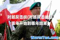 对越反击战(对越反击战是哪年开始到哪年结束)