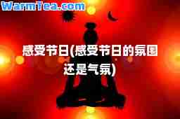 感受节日(感受节日的氛围还是气氛)