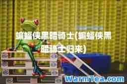 蝙蝠侠黑暗骑士(蝙蝠侠黑暗骑士归来)