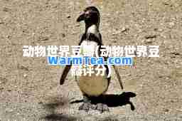 动物世界豆瓣(动物世界豆瓣评分)