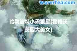哈利波特小天狼星(霍格沃茨四大美女)