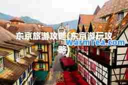 东京旅游攻略(东京游玩攻略)