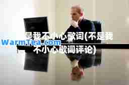 不是我不小心歌词(不是我不小心歌词评论)