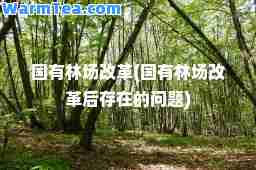 国有林场改革(国有林场改革后存在的问题)