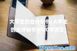 大学生创业计划书(大学生创业计划书3000字范文)