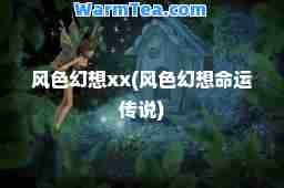 风色幻想       (风色幻想运传说)