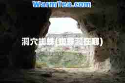 洞穴蜘蛛(蜘蛛洞在哪)
