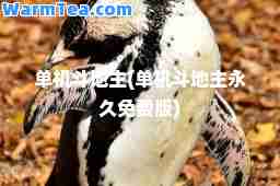 单机斗地主(单机斗地主免费版)