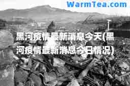 黑河疫情消息今天(黑河疫情消息今日情况)