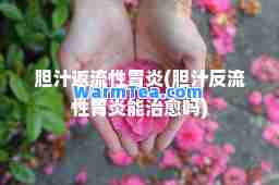 胆汁返流性胃炎(胆汁反流性胃炎能吗)
