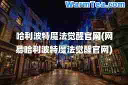 哈利波特魔法觉醒官网(网易哈利波特魔法觉醒官网)