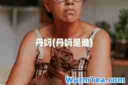 丹妈(丹妈是谁)