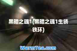 黑暗之魂1(黑暗之魂1生锈铁环)