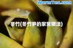 冬竹(冬竹笋的家常做法)