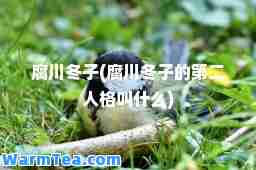 腐川冬子(腐川冬子的第二人格叫什么)