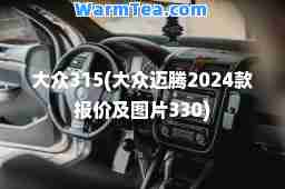大众315(大众迈腾2024款报价及图片330)