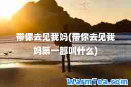 带你去见我妈(带你去见我妈部叫什么)