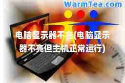 电脑显示器不亮(电脑显示器不亮但主机正常运行)