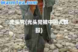 光头(光头被中国人群殴)
