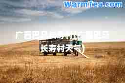 广西巴马长寿村(广西巴马长寿村天气)