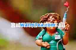 宫崎英高(宫崎英高年龄)