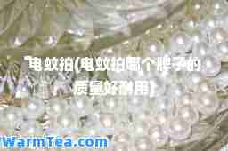 电蚊拍(电蚊拍哪个牌子的质量好耐用)