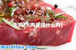 大肉(大肉是指什么肉)