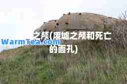 废墟之颅(废墟之颅和死亡的面孔)