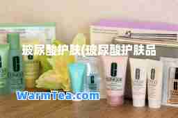 玻尿酸护肤(玻尿酸护肤品)
