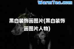 黑白装饰画图片(黑白装饰画图片人物)