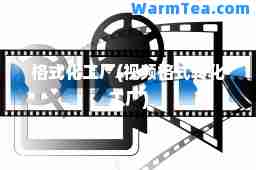 格式化工厂(视频格式转化工厂) 格式化工厂(视频格式转化工厂)