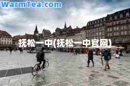 抚松一中(抚松一中官网)