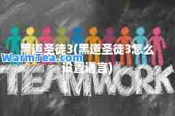 黑道圣徒3(黑道圣徒3怎么设置语言)