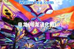 电龙(电龙进化图)