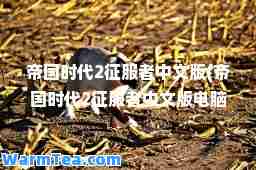 帝国时代2征服者中文版(帝国时代2征服者中文版电脑)