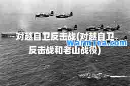 对越自卫反击战(对越自卫反击战和老山战役)