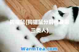 狗猫鼠(狗猫鼠分别代表哪三类人)
