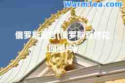 俄罗斯夏宫(俄罗斯夏宫花园图片)